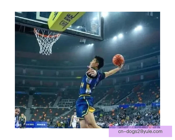 外援奎因42分助广东升第二