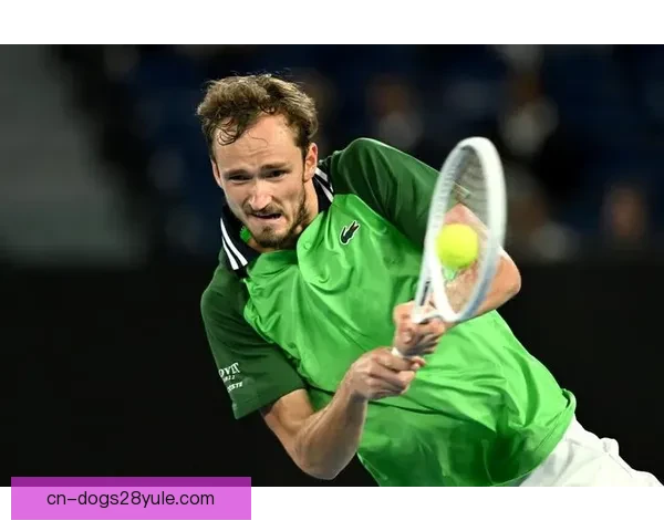 梅德韦杰夫逆转再冲击澳网首冠