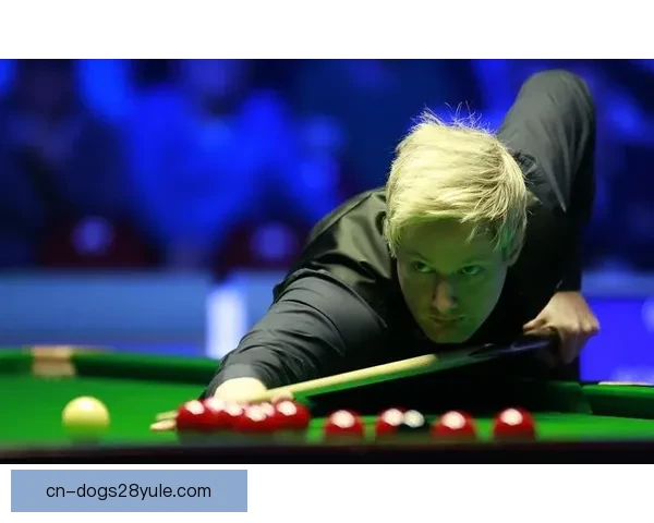 阿卡教学赛晋级追平博格赛第一