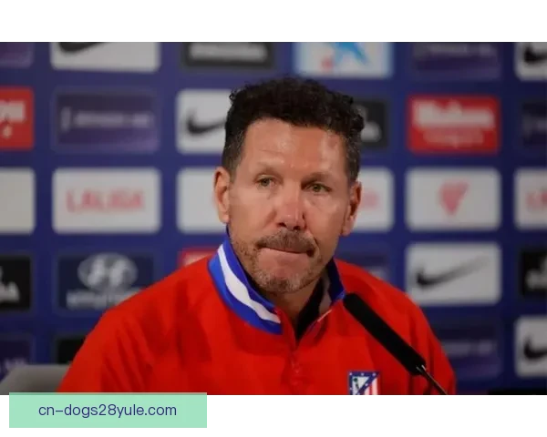 西蒙尼否认与阿莱马尼引援争议