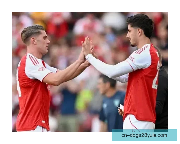 利兹联对阿森纳哲凯赖什哈弗茨特罗萨德萨卡出战