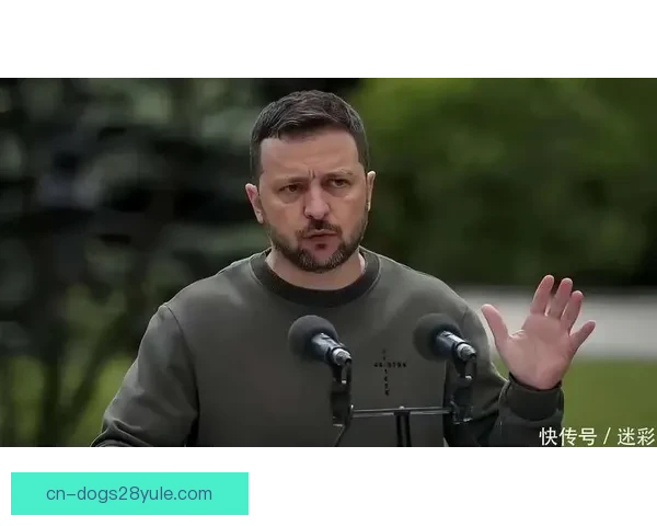 头盔主角无缘冬奥泽连斯基授勋