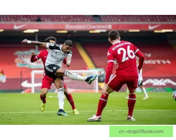 凯文里德破门富勒姆逆转晋级