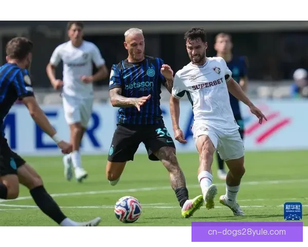 弗鲁米嫩塞角旗舞声援维尼修斯