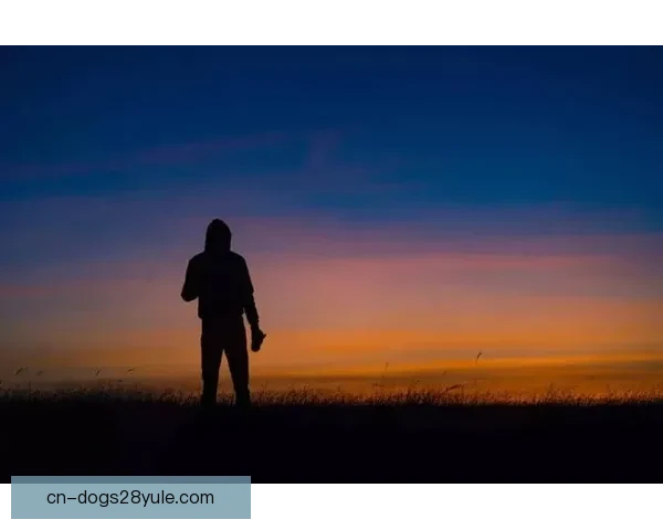 拉玛西亚十年离别无情回忆心酸