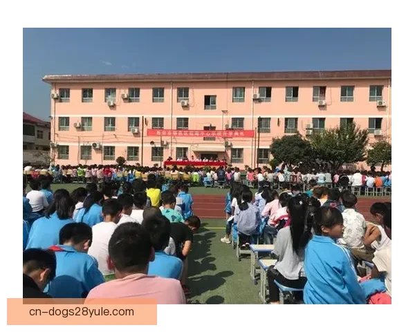 立足今日拼出未来新篇章的辉煌