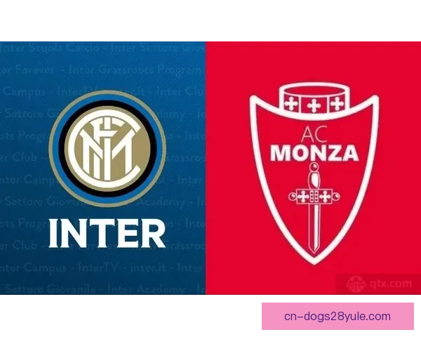 意甲：国际米兰踢和蒙扎